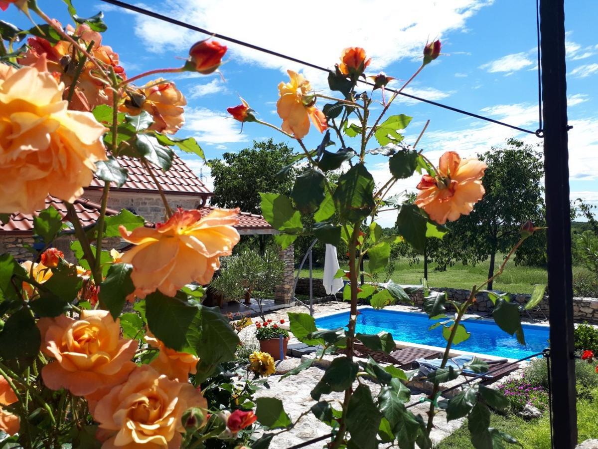 Holiday Home Toma Puljane Dış mekan fotoğraf